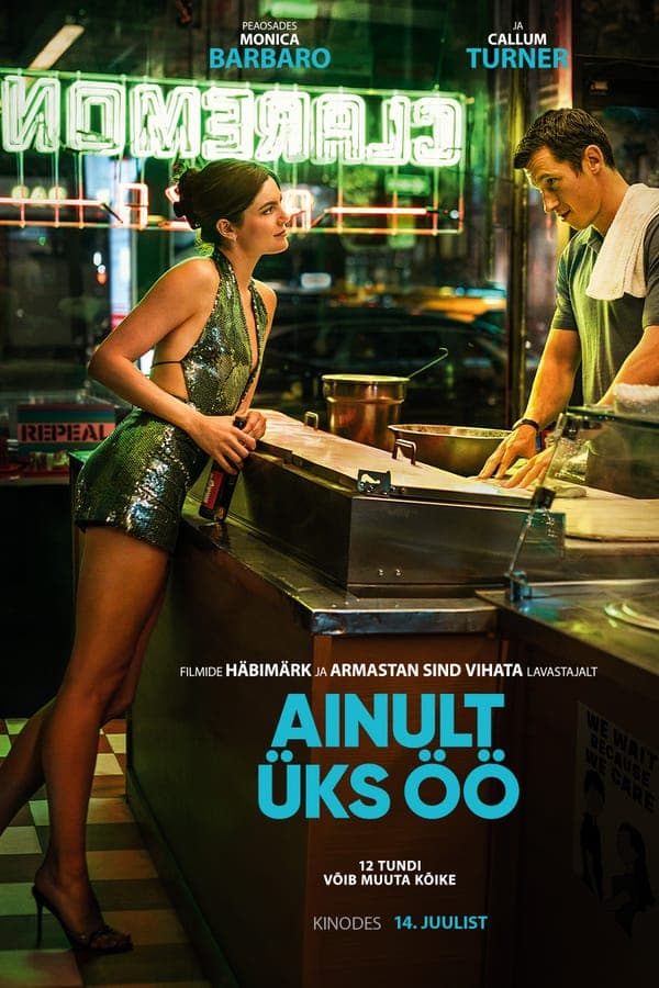 Ainult üks öö